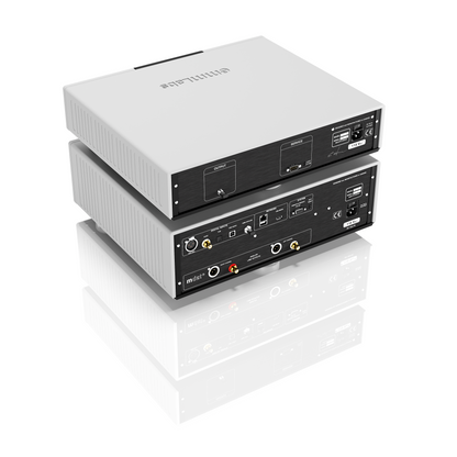 EMM Labs DV2i Integrated D/A Converter